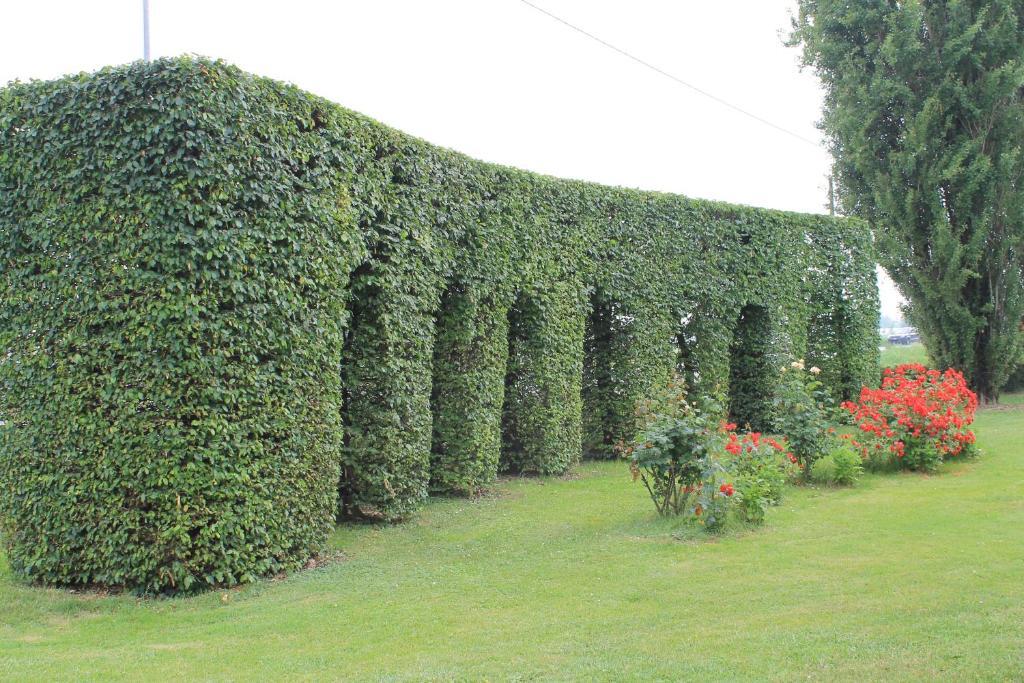 Villa Belvedere 1849 Misano di Gera dʼAdda Dış mekan fotoğraf