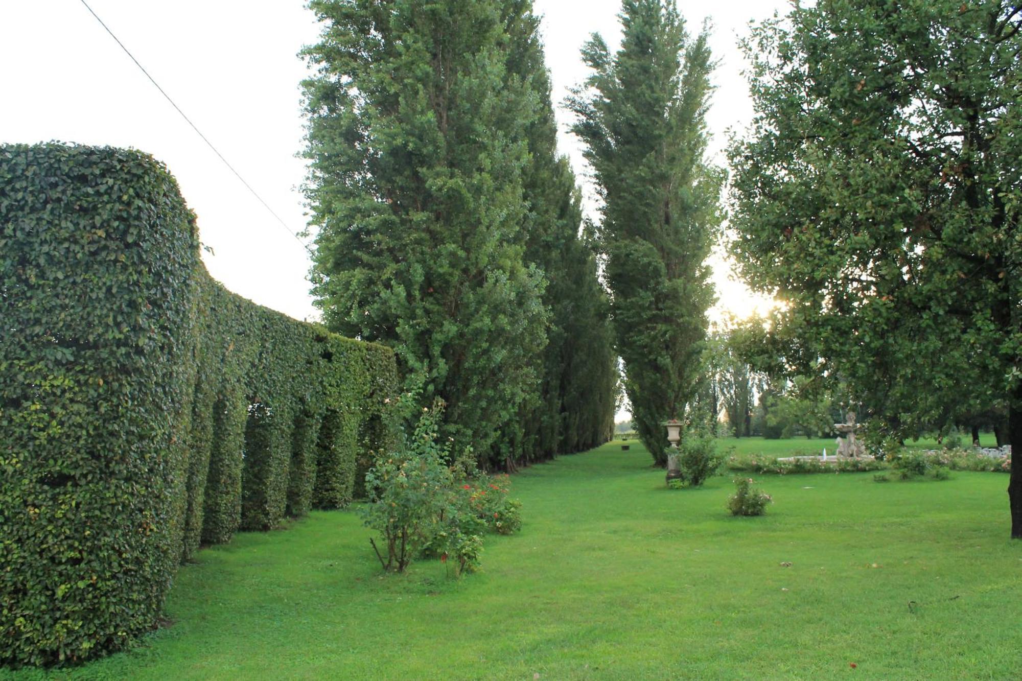 Villa Belvedere 1849 Misano di Gera dʼAdda Dış mekan fotoğraf